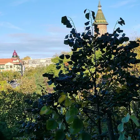 In Marschall Palace تيميشورا