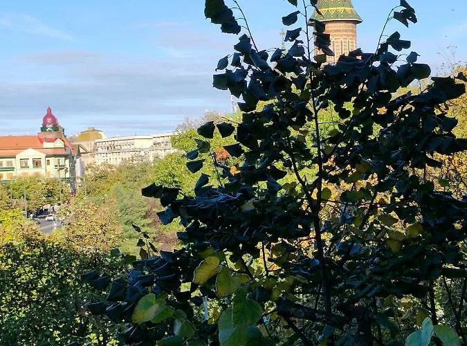 In Marschall Palace Timisoara